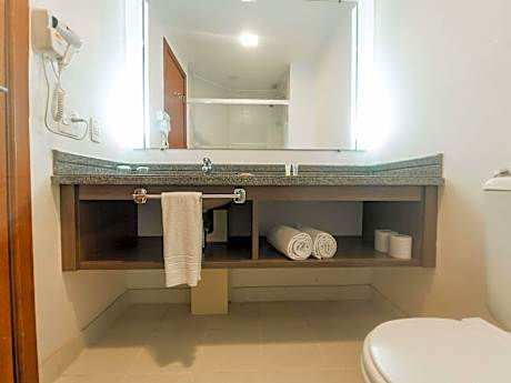 Superior Apartment with One King Bed