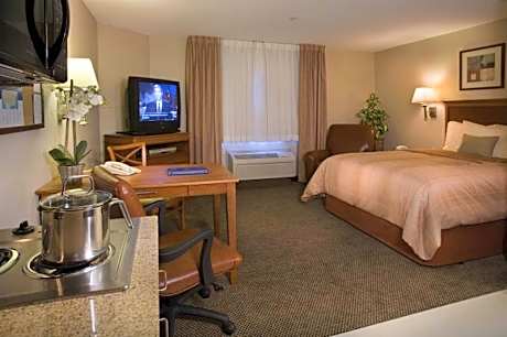 Queen Studio Suite