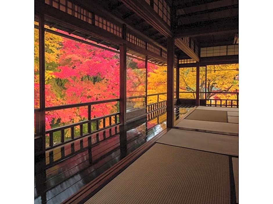 THE JUNEI HOTEL Kyoto Imperial Palace West