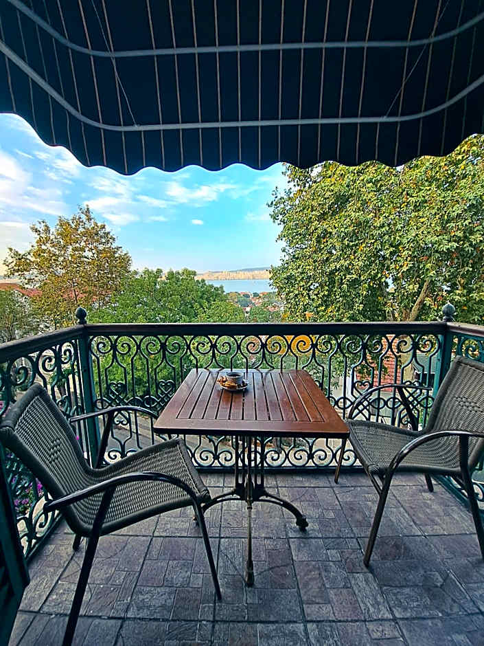 Büyükada Anastasia Meziki History Mansion