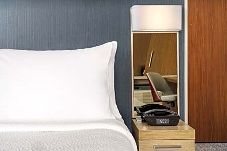 King Room with Sofa Bed - Hearing Accessible