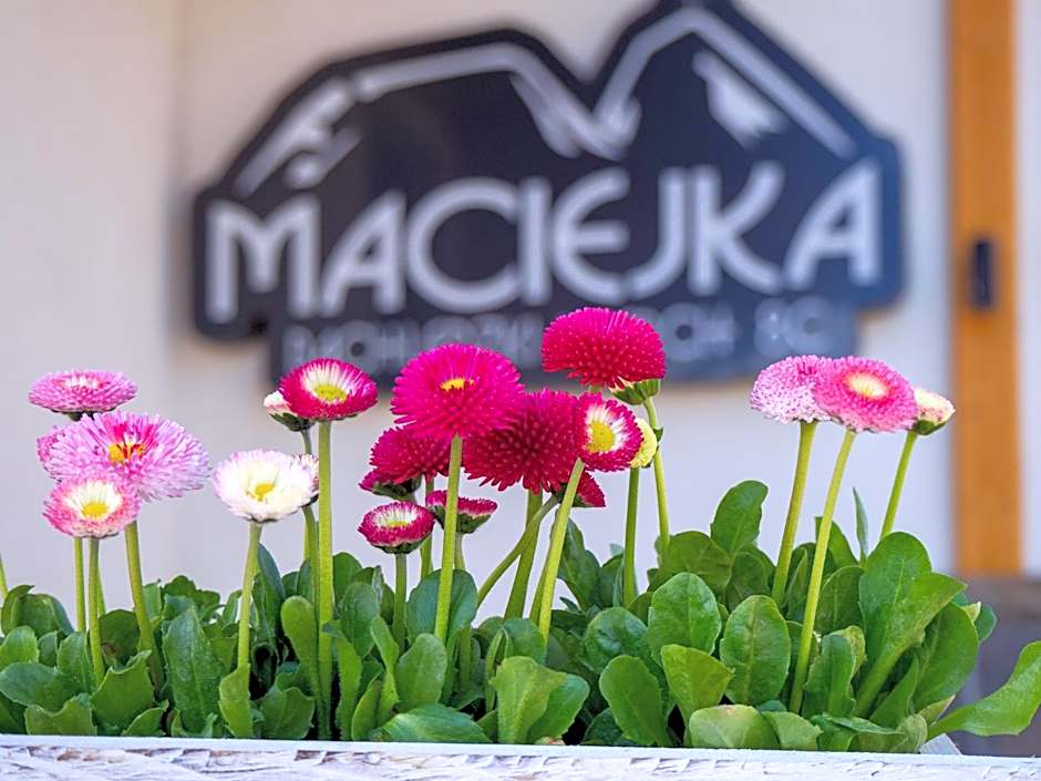 Apartamenty Maciejka Odkryj Zakopane
