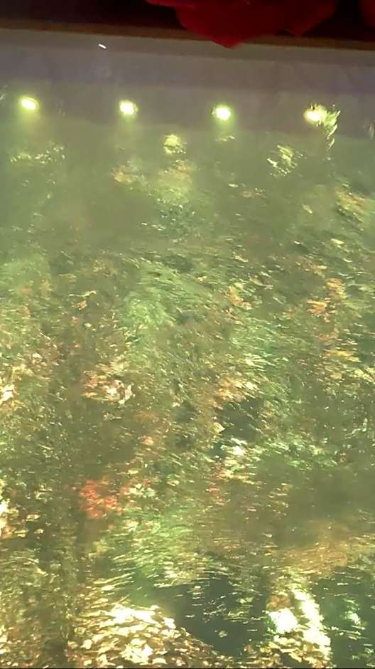 B&B LA REGGIA DI RIHANNA spa