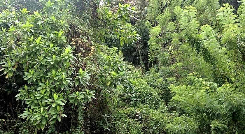 Holiday Inn Unawatuna