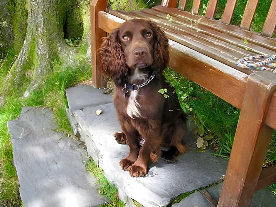 Meadowcroft Guest House