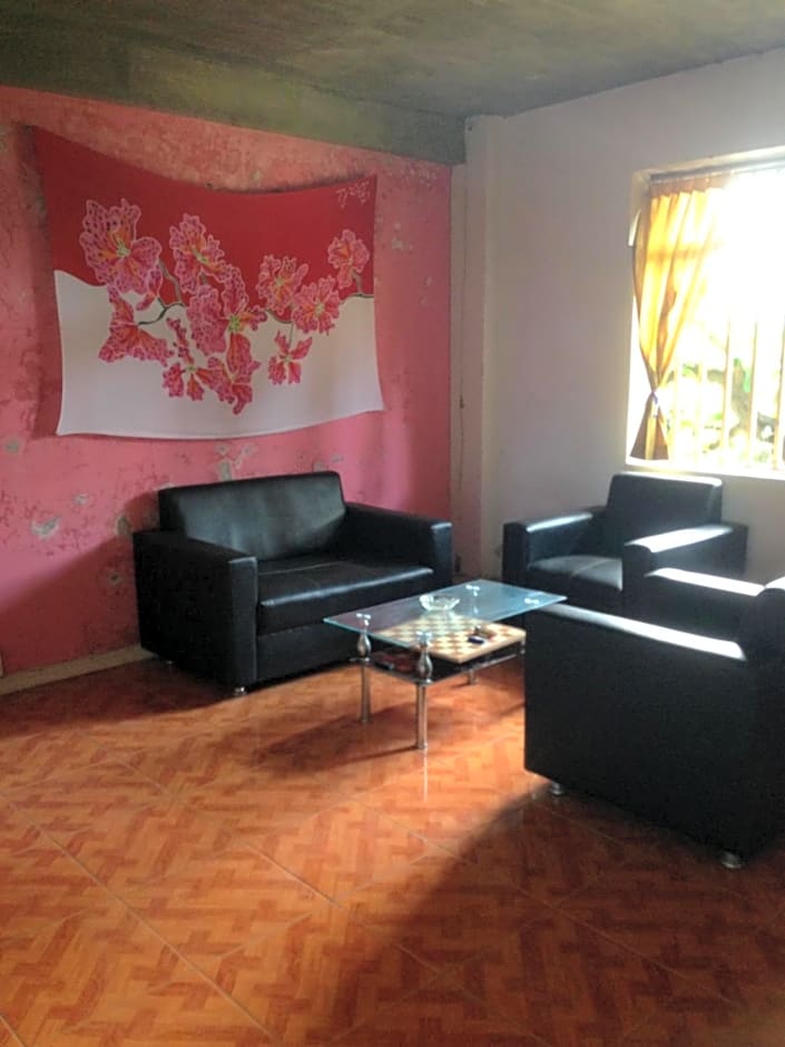 Apollo Hostel