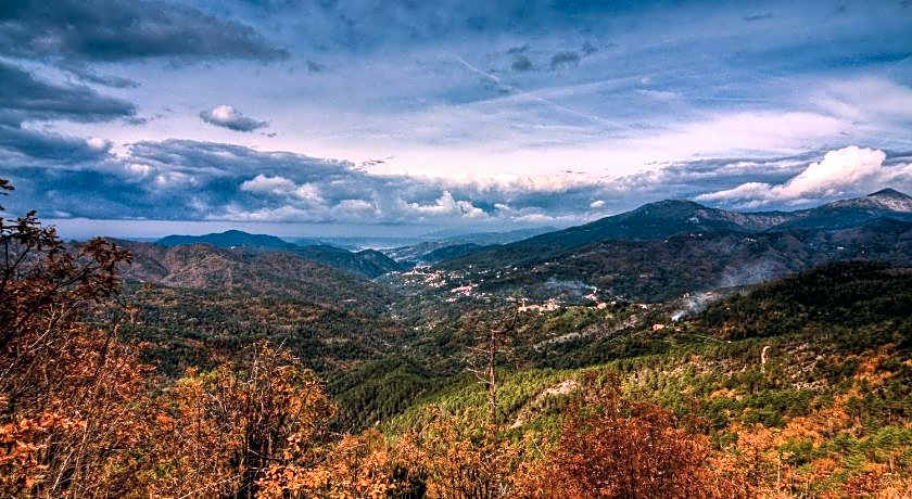 Oasi Verde
