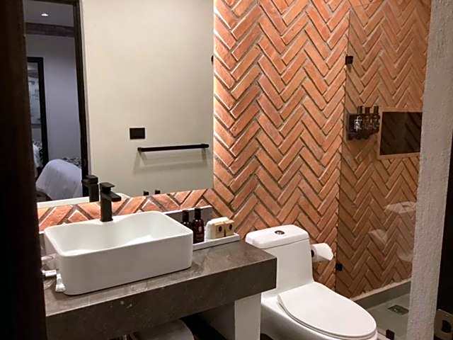 Esplendor by Wyndham San Luis Potosi Monarca