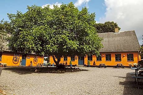 Stevns Klint Bed & Breakfast