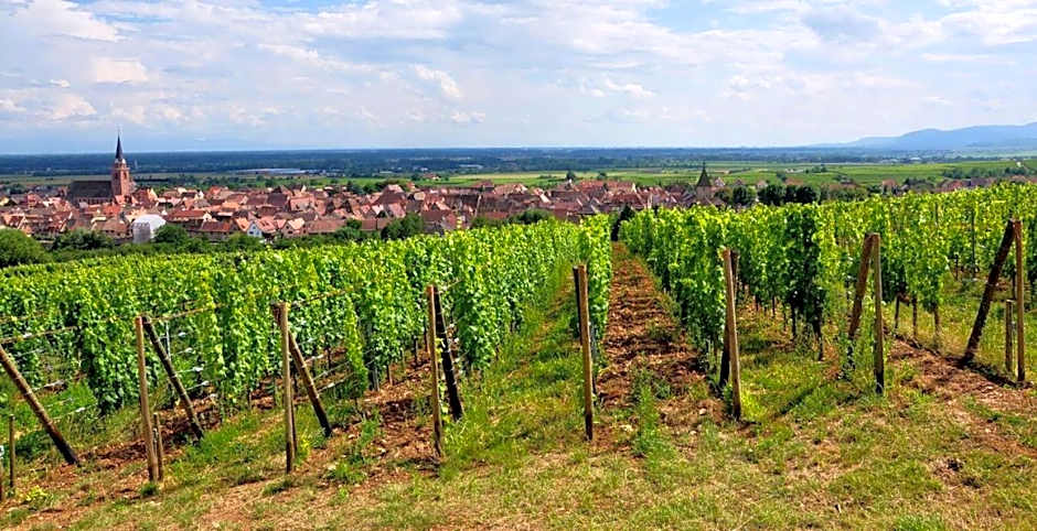 Hotel et Spa du Scharrach