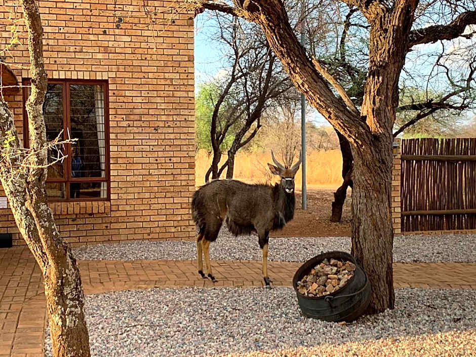 Makhato Bush Lodge 111