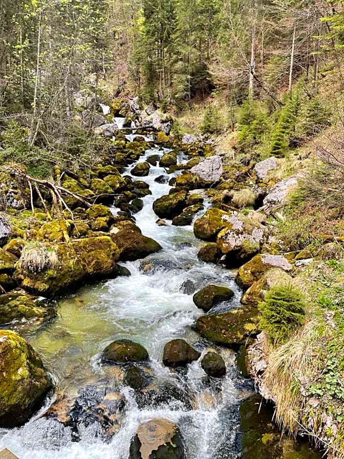 Fenix Hall Boutique Hotel Hallstatt