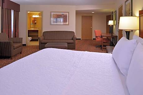 1 King Bed Corner Room W/ Sofabed Nonsmoking
