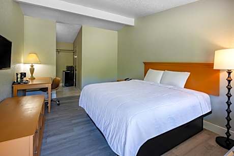 King Room - Non-Smoking