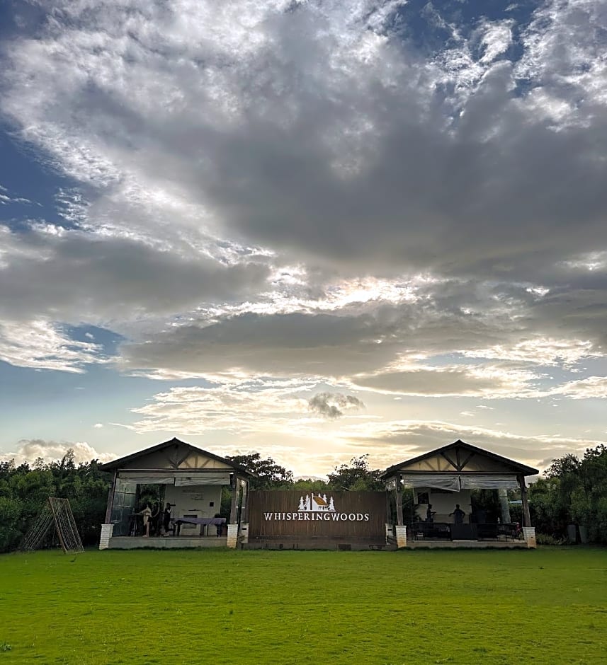 Whispering Woods