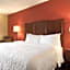 Hampton Inn By Hilton Battle Creek