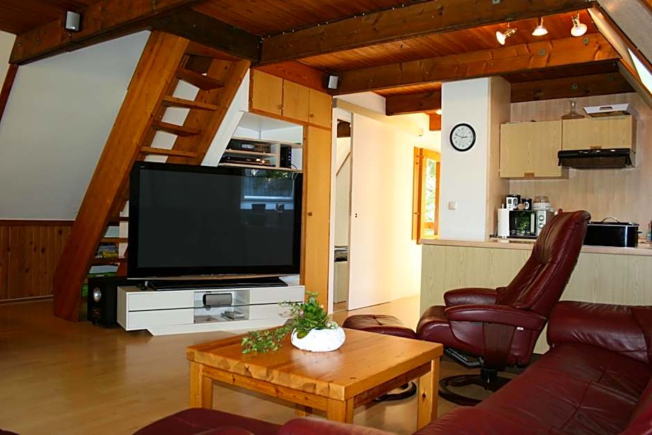 Haus 114 - Nurdachhaus -