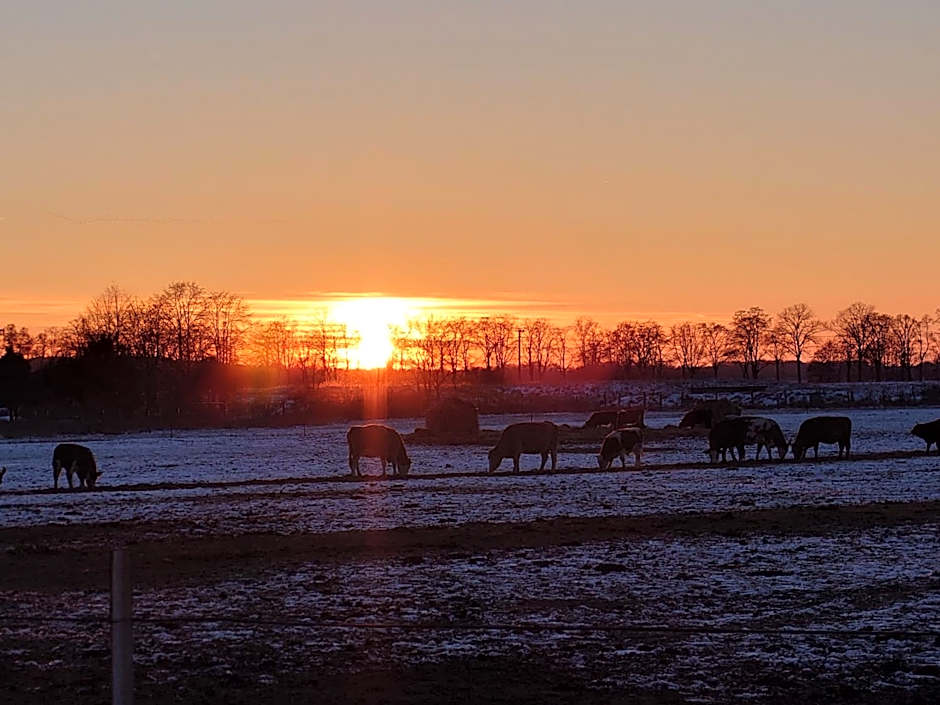 Hotel Schützenhaus Lenzen