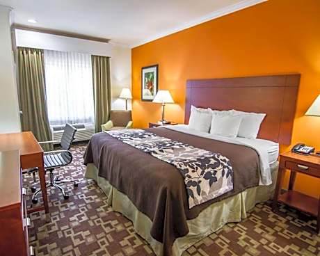 1 King Bed, Nonsmoking