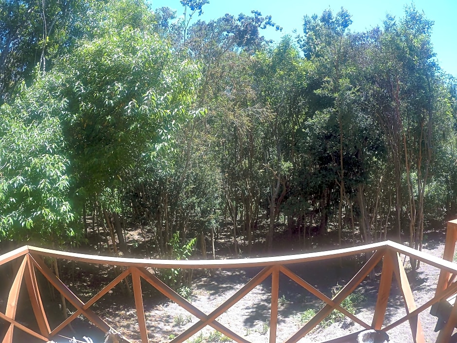 Cabañas Ensenada Bosque Nativo