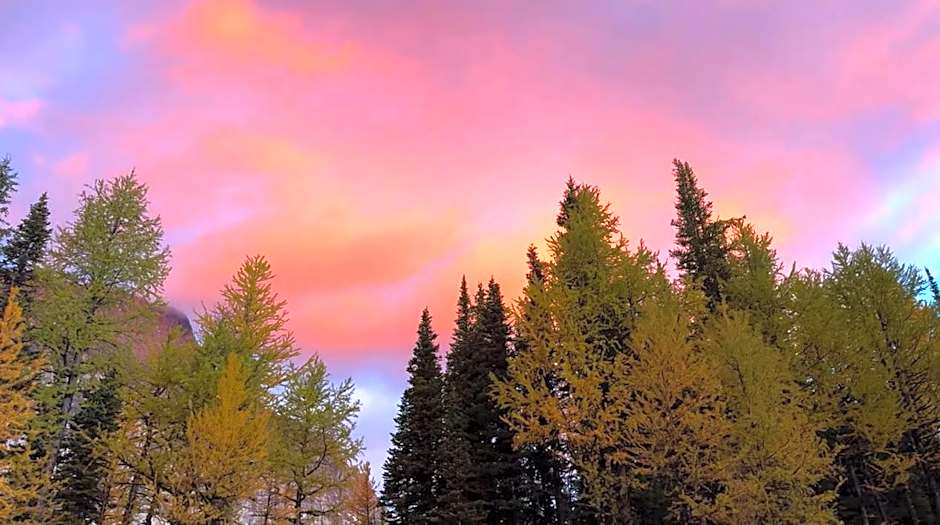 Mountain View Vacation Villa Main Floor Unit, No Stairs