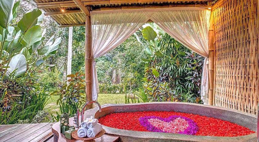 Fivelements Retreat Bali