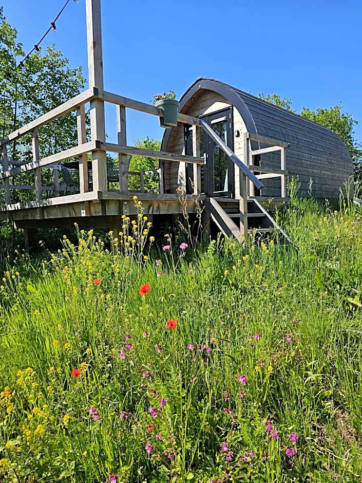 Tiny House De Skierroek