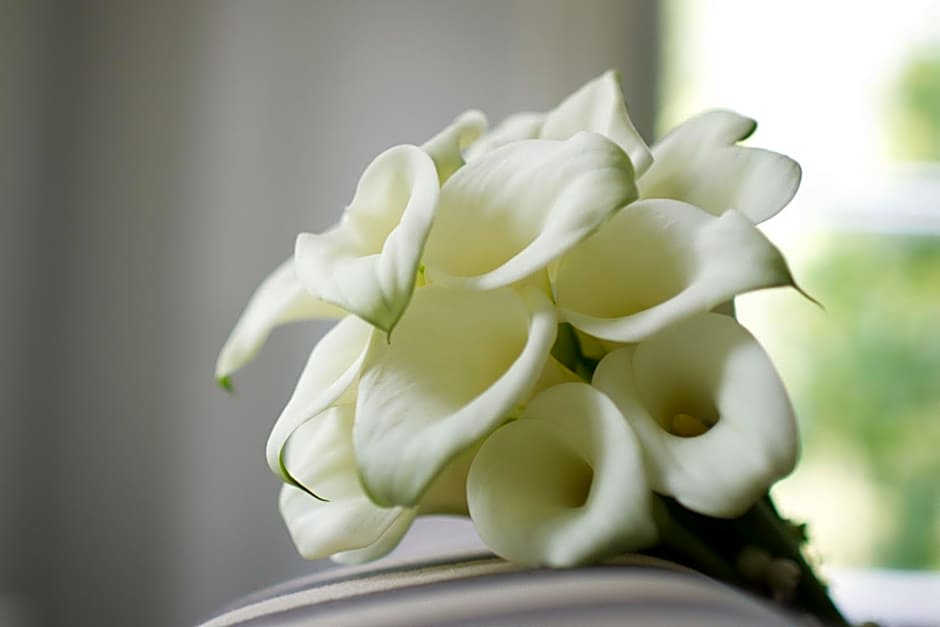 Delta Hotels by Marriott Somerset