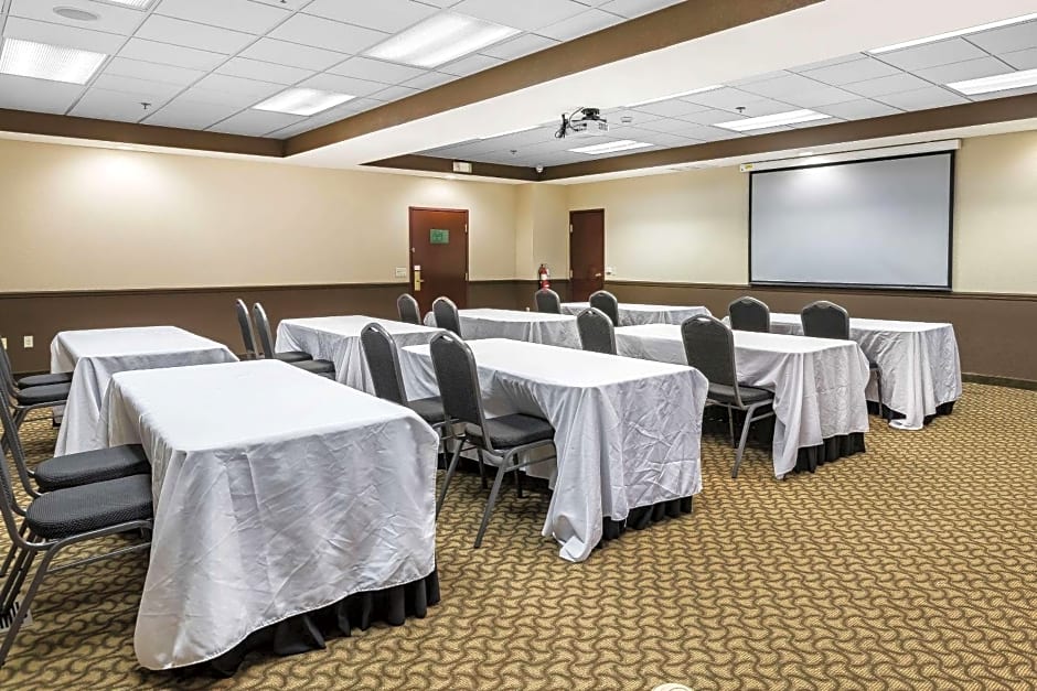 Comfort Inn & Suites Allen Park - Dearborn