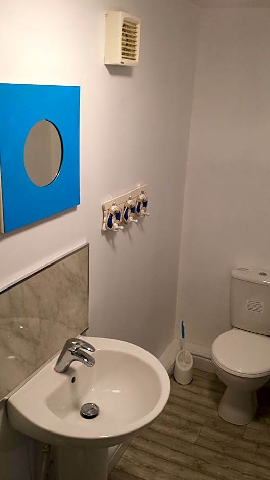 The cabin saracens head