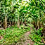 OYO Homes 90987 Desa Wisata Gabugan Syariah