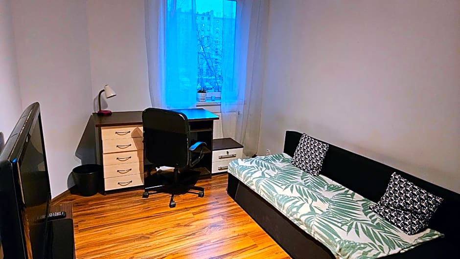 Sweet Home & Sweet Cats & Fast internet