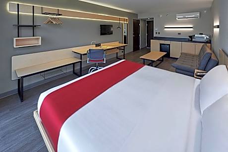 Suite, 1 King Bed with Sofa bed (1 King Bed and 1 Double Sofa Bed)