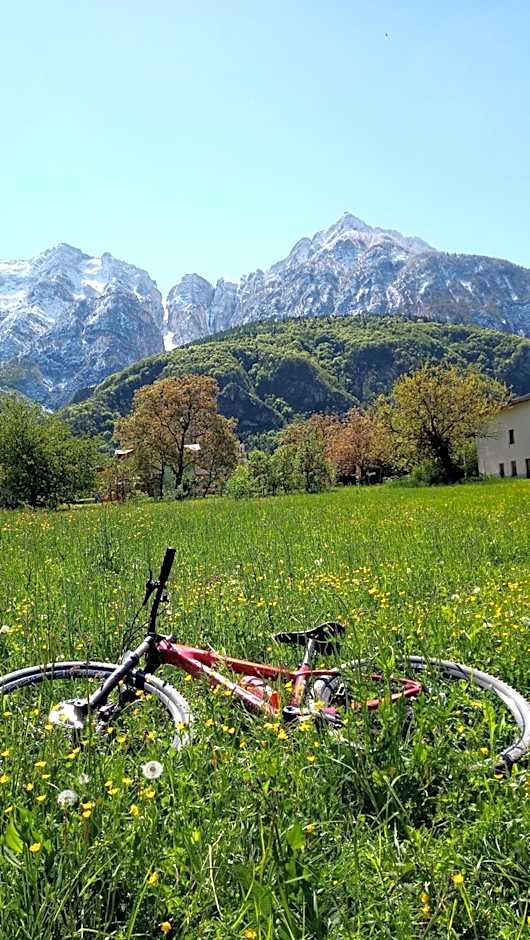 Agritur Airone Bed & Camping