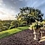 Villa Mayurana by Edwards Collection