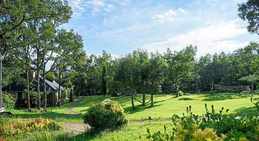 Ginga no Yado Kinoko2seigo