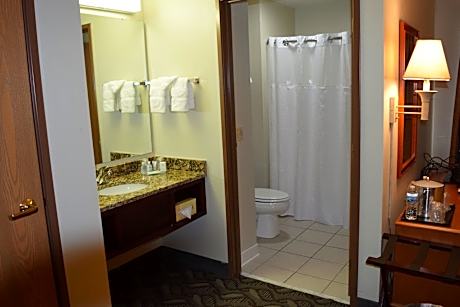 1 King Bed, Mobility Accessible Room, Non-Smoking