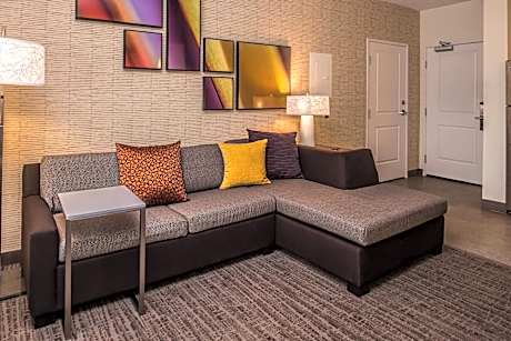 Studio, 1 King Bed with Sofa bed (1 King Bed and 1 Double Sofa Bed)