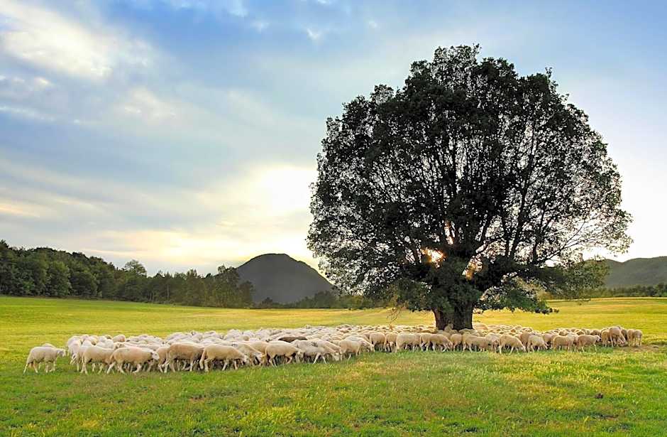 La Borda de Pastores