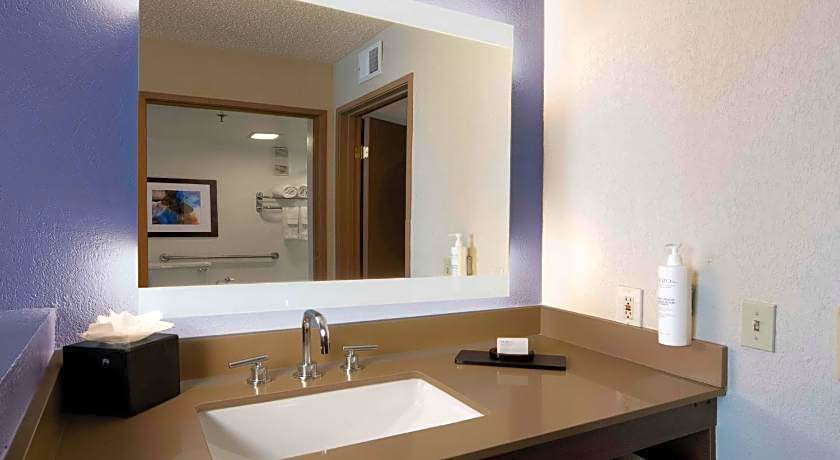 Embassy Suites by Hilton Dallas DFW Airport South