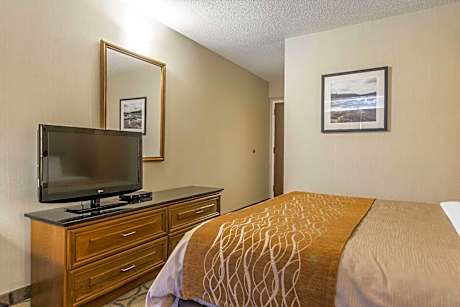 1 Queen Bed, Nonsmoking, Upgrade