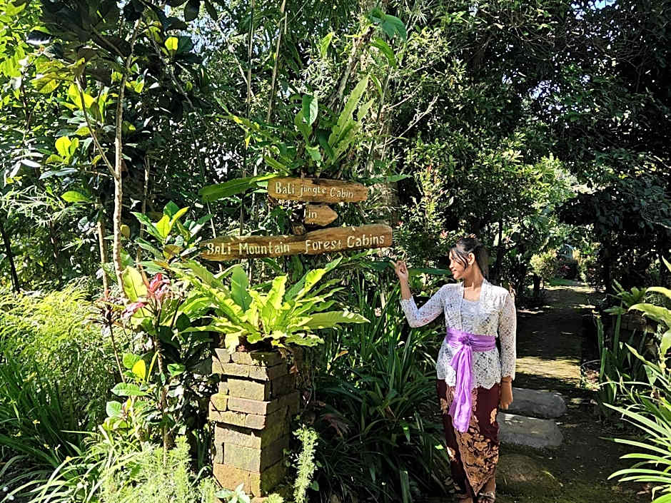 Bali mountain forest cabin