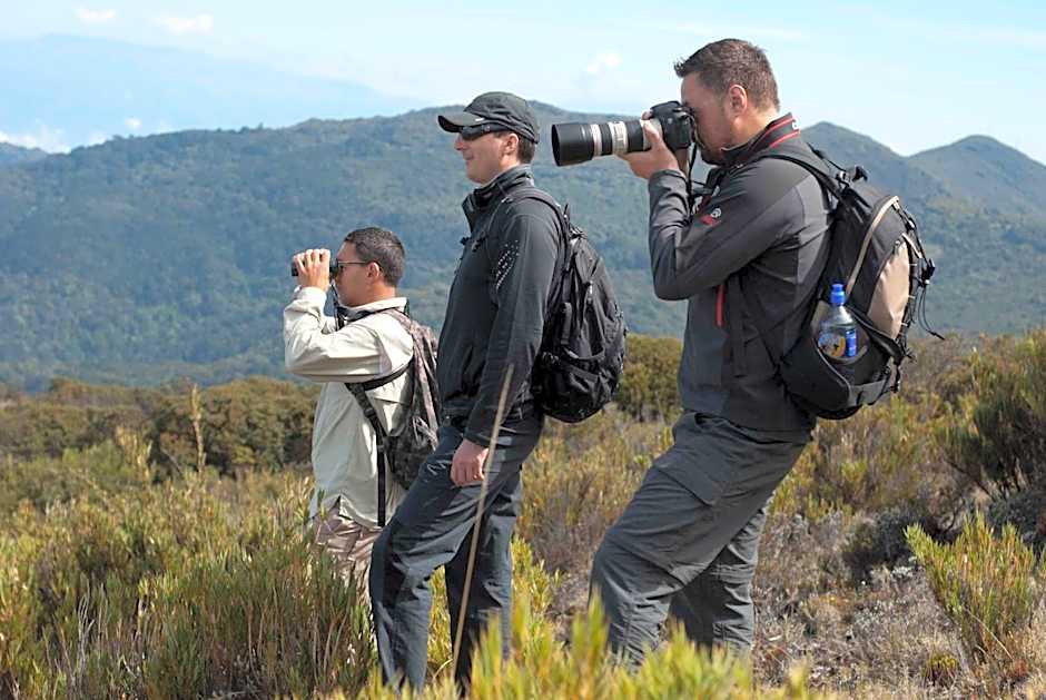 Dantica Cloud Forest Lodge