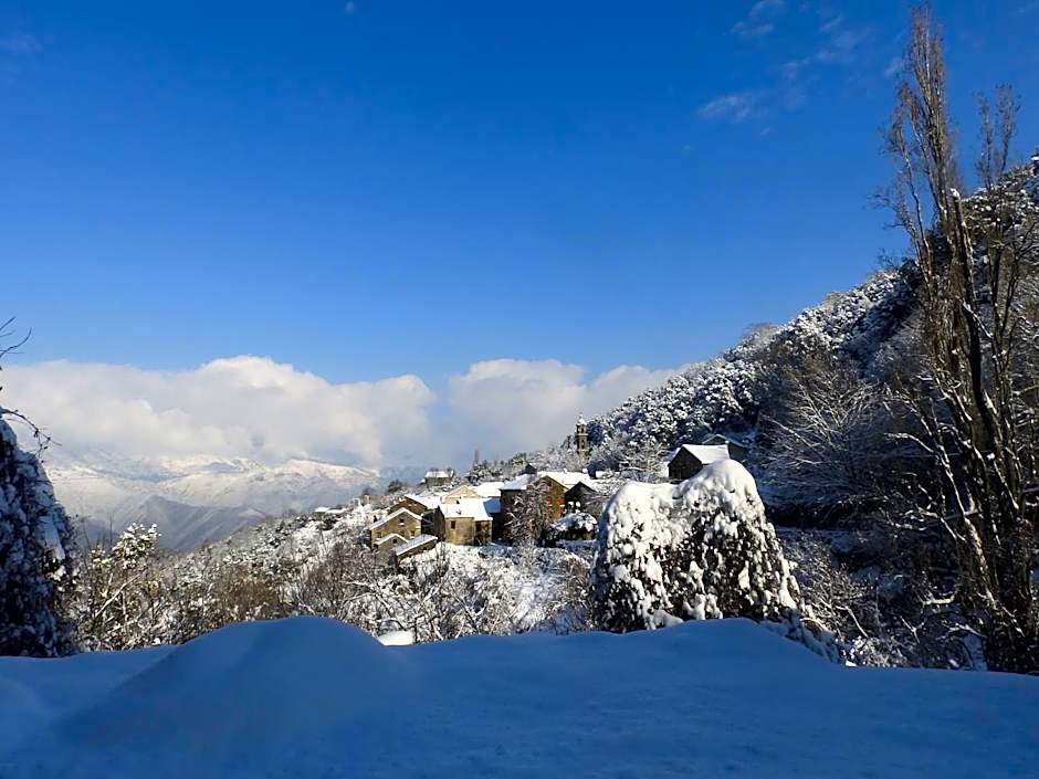 Chambre d'Hôtes La Marlotte