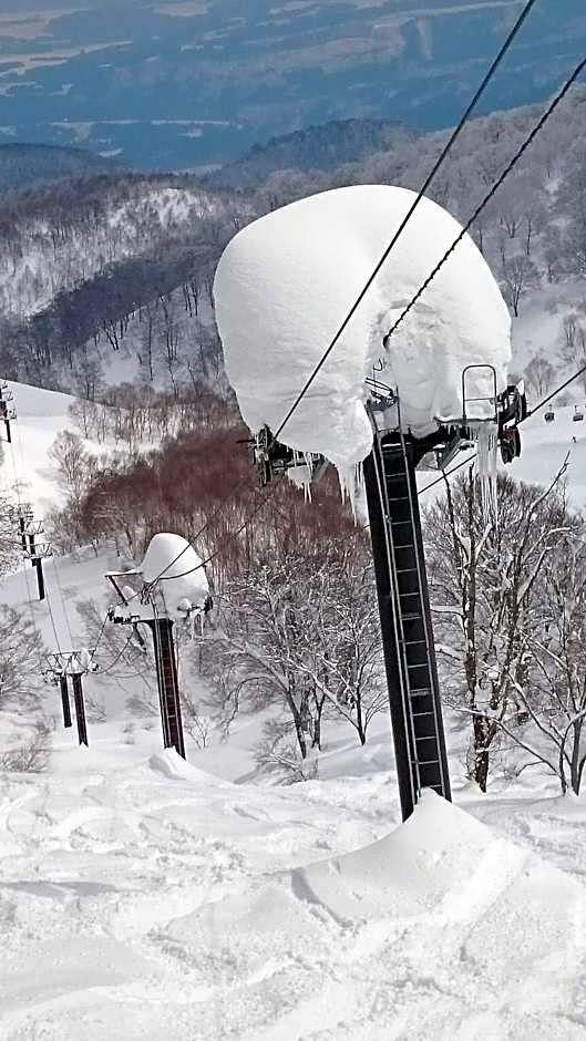 Nozawa Dream