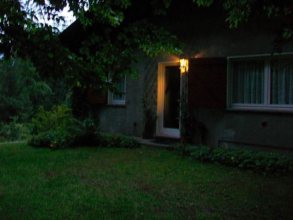 B&B L'Albero Maestro