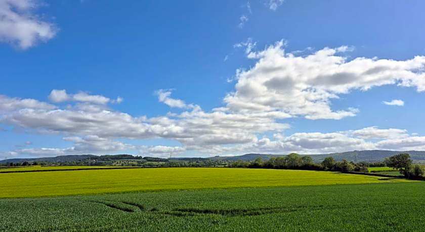 OYO White Horse Lodge Hotel, East Thirsk