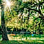 Hacienda del Rio