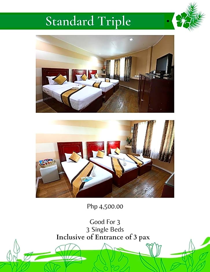 Photo 1 of 1 of Standard Triple Room