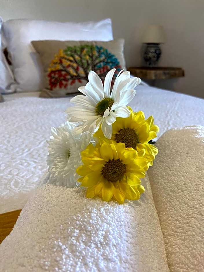 Casa Hridaya Hotel Boutique